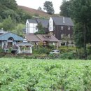 대관령스노우펜션 이미지