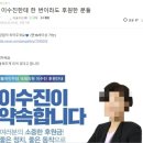 시한폭탄 된 '이수진 입' 친명계 불법 정치자금 의혹까지 제기 이미지
