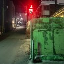 만복약국 | 속초시외버스터미널 근처 술집 속초 동명동 애견 동반 가능한 혼술 맛집 아프리카
