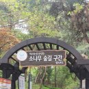 4월 29일 (토) ~북한산 소나무숲길 탐방~(전국 비예보^ 취소합니다) 이미지