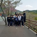 용인대 명지 태권도장 이미지