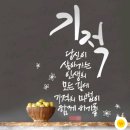 네일이용