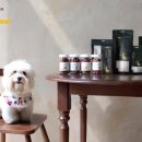 주식회사 펫21 이미지