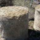 이비농장 이미지