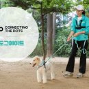 더닷츠
