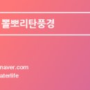 씨유 양덕원룸점 이미지