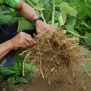 한결농장 이미지