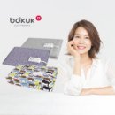 보국전자 이미지