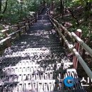 광덕산 등산로 이미지