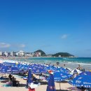 뉴벨(NEWBELL) 이미지