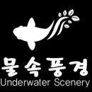 물속풍경수족관 이미지