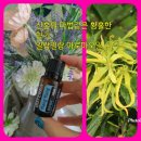 아로마 오일천사