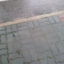 광일농장 이미지