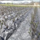 청성농장 이미지