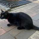 활터어린이공원 이미지