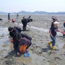 노을지는갯마을 이미지