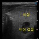 Dr. 오즈 동물병원 이미지