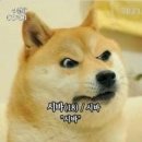 금이네 이미지
