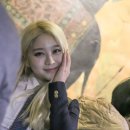 더그미 Daum카페