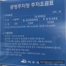 오동도 사무실 옆 | 여수오동도 동백꽃 개화상태 및 절정시기 오동도주차장 동백열차