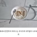 와 블챌 까먹을 뻔