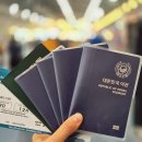 키즈밀 | 부산출발 나트랑 베트남항공 기내식 키즈밀 이용후기