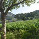 구령목장 이미지