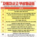 인터넷에 자동차사고 참교육했다는 글만 잇고 당했다는 글 없는 이유 이미지