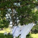 세탁좋은날 이미지