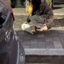 품안마을1 | [전남 / 곡성] 너무 더워서 써보는 작년 가을의 곡성 여행기 🍂