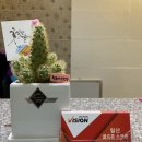 모닝스크린골프장 이미지