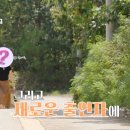 (주)베어나인 네이버블로그