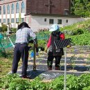 수은농장 이미지