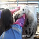 자영목장 네이버블로그