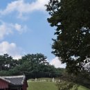 동구릉 | [초등 역사체험] 조선 왕릉 탐방 후기 + 동구릉 무료 활동지 나눔