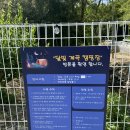 전라도 캠핑, 차박캠핑, 전라남도 장흥 달빛계곡캠핑장