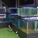 생선가게 PC방 이미지