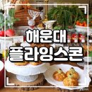 도시의 빛 | [부산여행] 해운대카페 플라잉스콘 메뉴, 음료 솔직후기