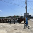 이호약국 이미지