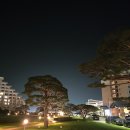 델피노숲 | 강원도 고성 힐링 여행 소노벨 델피노 EAST 숙박 후기