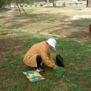 울엄니김밥 이미지