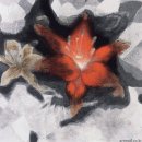 고정곤 개인展 이미지