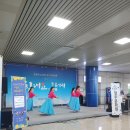 크로마하프앙상블 이미지