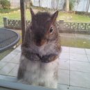 작은 동물원 이미지