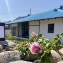 신세대민박