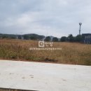 안성탑공인중개사사무소 이미지