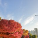 행운공원 | 우여곡절 끝에 찾은 완벽한 소풍 장소, 광교호수공원과 행운만두전골 후기