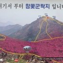 진토베기 이미지