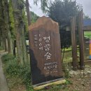 [무료교육] 솜씨쟁이 할머니 | 광주 근교 아이와 가볼만한곳 나주 전라남도산림연구원, 입장료 무료 인생샷 메타세쿼이어 길