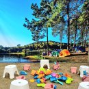 펀키즈어린이집 이미지